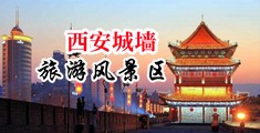 老逼资源导航中国陕西-西安城墙旅游风景区