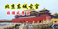 啊哈黑丝用力中国北京-东城古宫旅游风景区